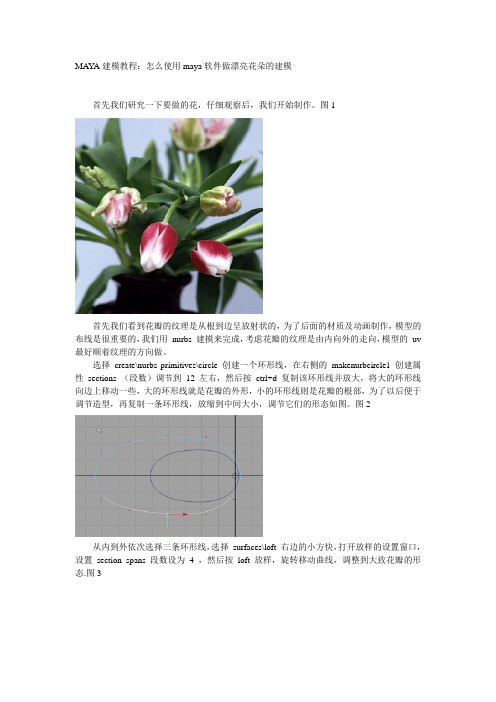 MAYA建模教程：怎么使用maya软件做漂亮花朵的建模