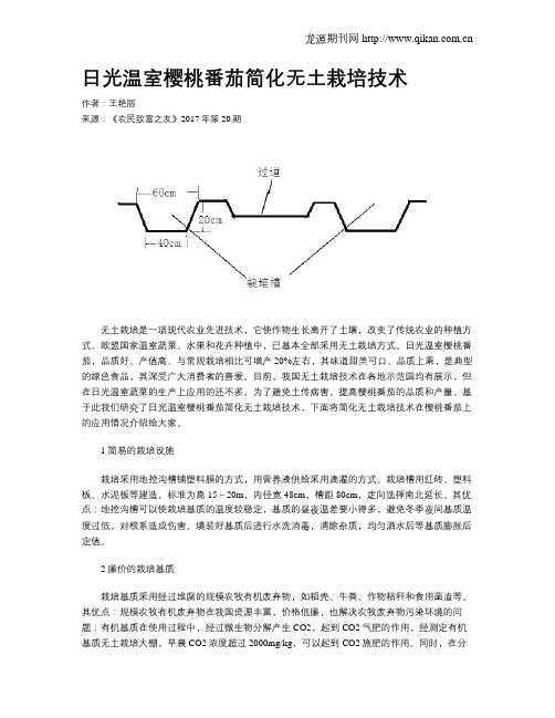 日光温室樱桃番茄简化无土栽培技术