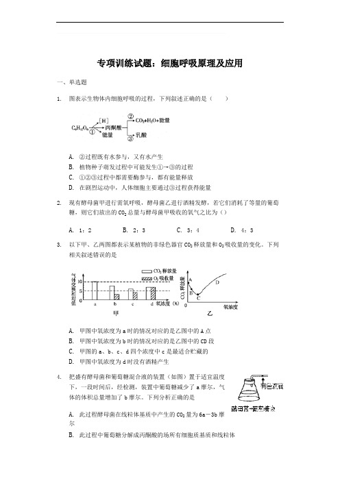 高三生物专项训练试题：细胞呼吸原理及应用(含答案)