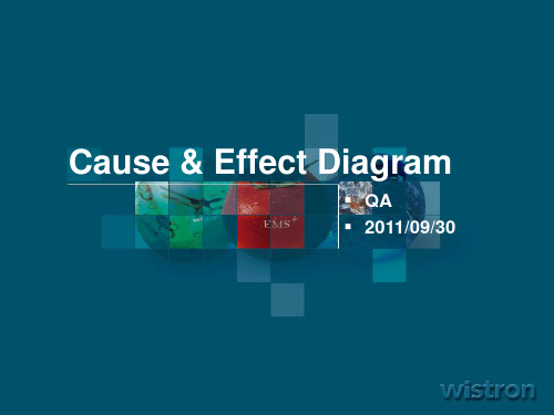 Cause & Effect Diagram