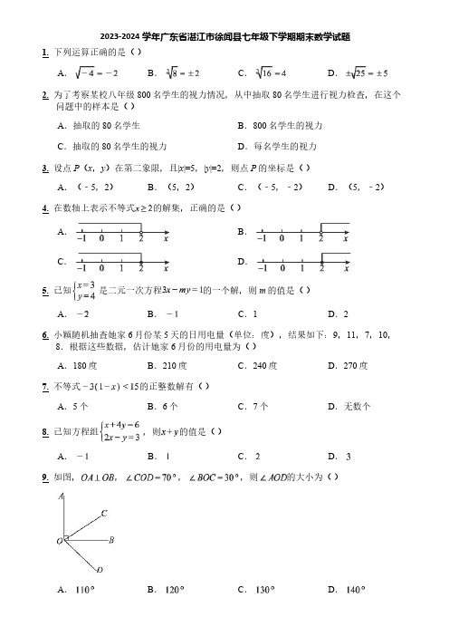 2023-2024学年广东省湛江市徐闻县七年级下学期期末数学试题