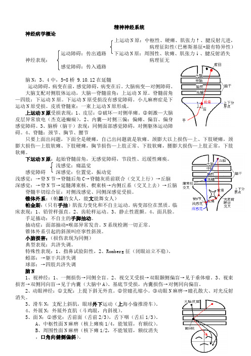 精神神经(执业医师医考笔记)