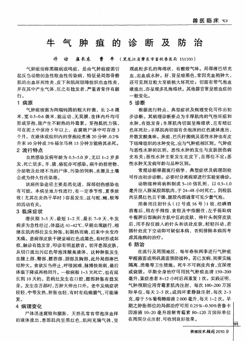 牛气肿疽的诊断及防治