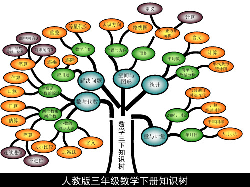 三年级数学下册第五单元教材分析