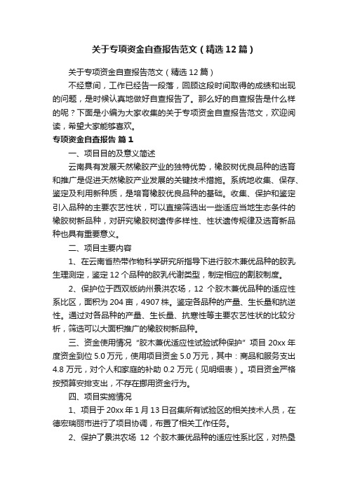 关于专项资金自查报告范文（精选12篇）