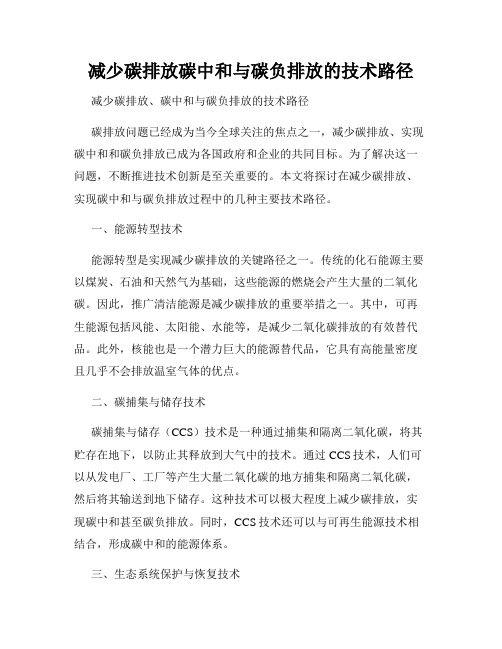 减少碳排放碳中和与碳负排放的技术路径