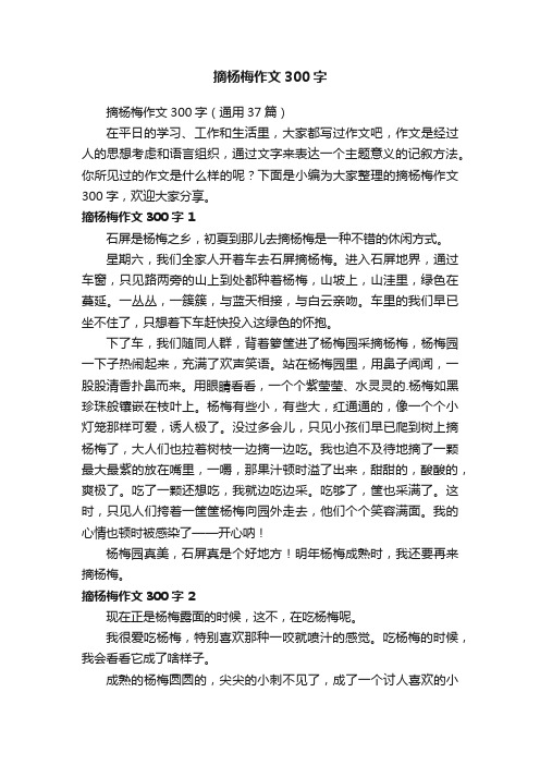 摘杨梅作文300字