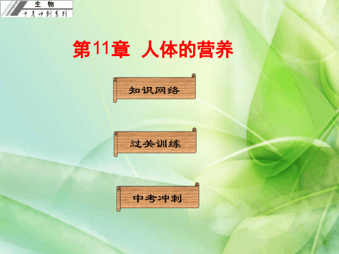 初中生物中考基础梳理复习第11章人体的营养 课件 人教版