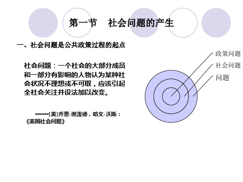 第五章政策制定