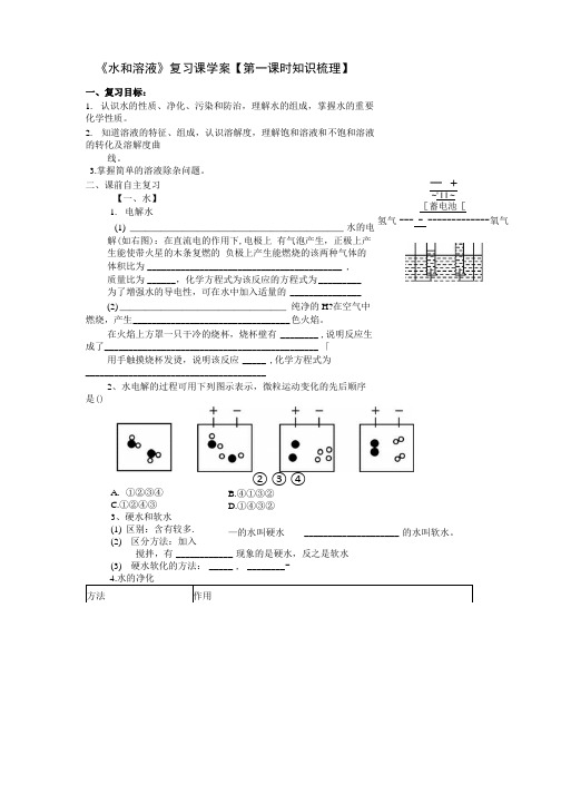 专题复习水和溶液学案.docx