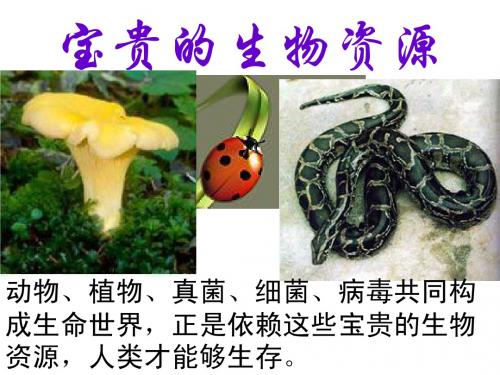 冀教版六年级科学生物资源的保护