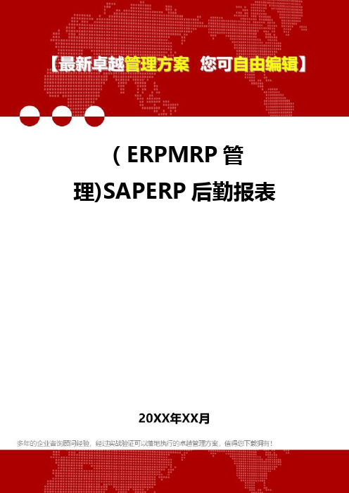 2020年(ERPMRP管理)SAPERP后勤报表