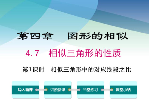 北师大版初三数学上册《4.7 第1课时 相似三角形中的对应线段之比》课件