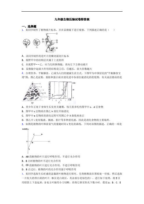 九年级生物压轴试卷附答案