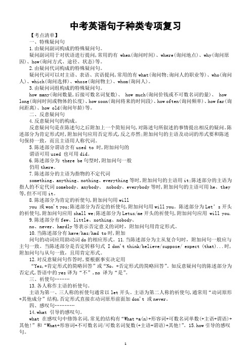 初中英语2024届中考句子种类专项复习(考点清单+精题精练)