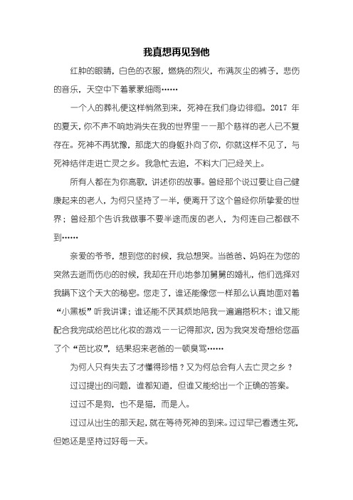 六年级作文:我想见到的人作文500字