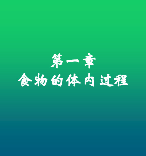 营养学 消化吸收