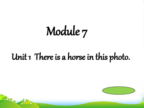 新外研版四年级英语上册M7U1 There is a horse in this photo-课件