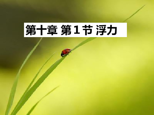 新人教版八年级物理下册10.1浮力公开课课件