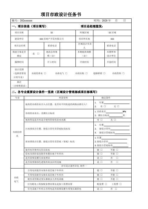 项目市政设计任务书