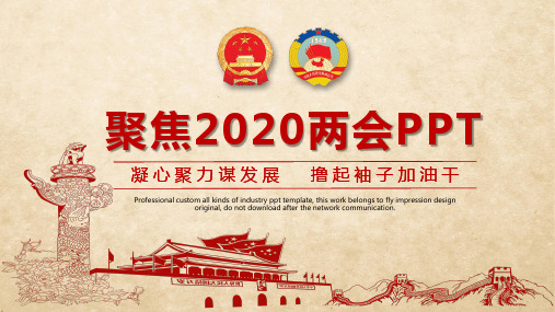 聚焦2020两会PPT