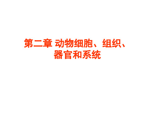 第二章动物细胞、组织、器官和系统