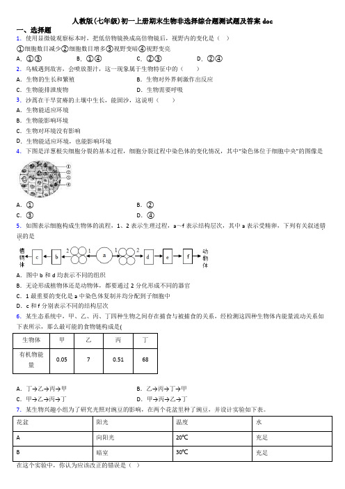 人教版(七年级)初一上册期末生物非选择综合题测试题及答案doc