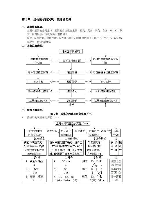 遗传与变异概念图