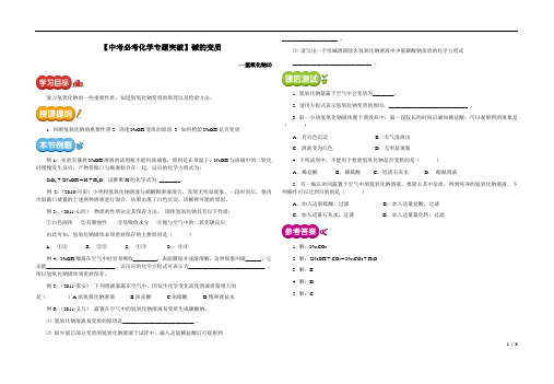 中考必考化学专题突破--碱的变质