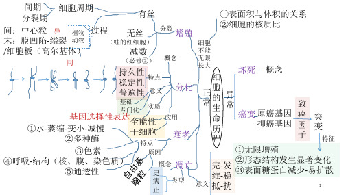 分子与细胞-思维导图幻灯片