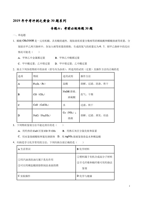 专题06 考前必做难题30题-2019年中考化学走出题海之黄金30题系列(原卷版)