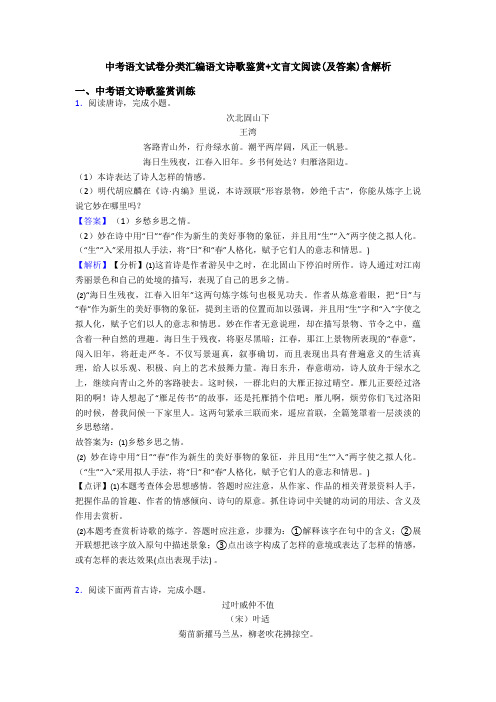 中考语文试卷分类汇编语文诗歌鉴赏+文言文阅读(及答案)含解析