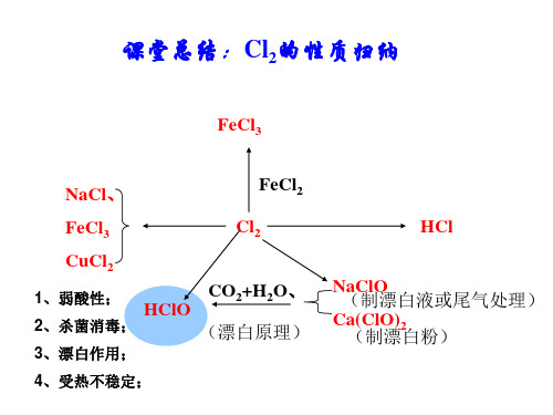 高中化学-氯气的制备、卤族