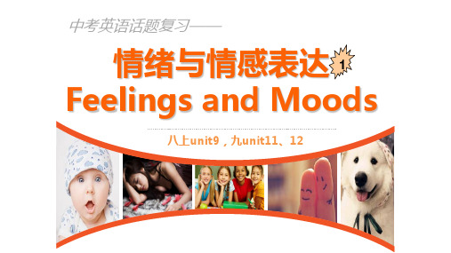 中考英语复习——话题feelings-and-moods