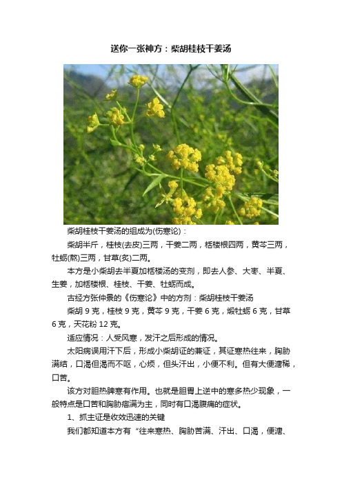 送你一张神方：柴胡桂枝干姜汤