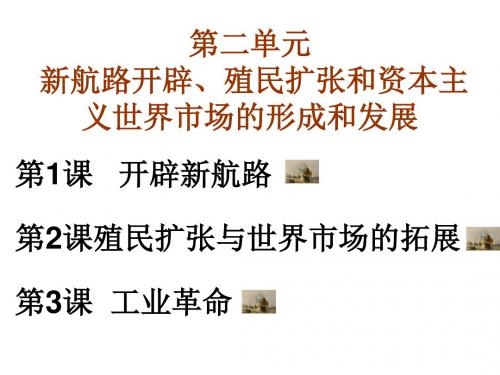 人教版 高中历史必修2第二单元新航路开辟、殖民扩张和资本主义世界市场的形成和发展 复习课件