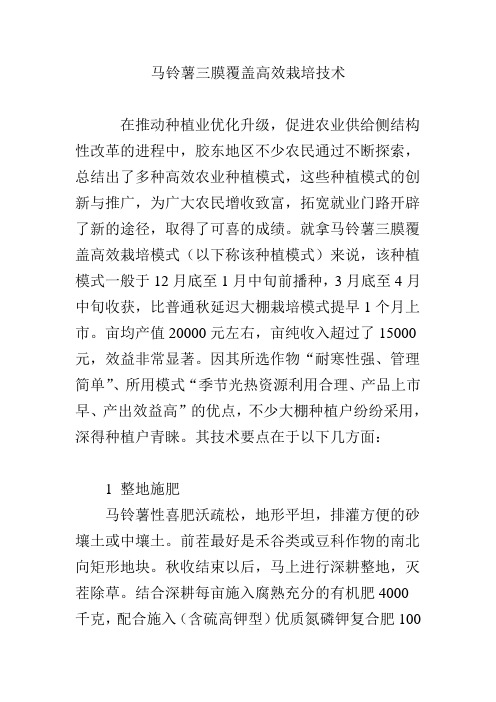 马铃薯三膜覆盖高效栽培技术