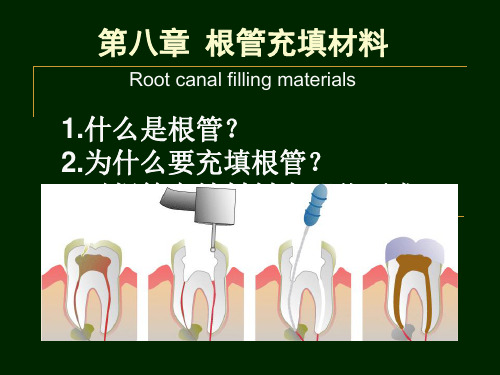 口腔材料学-根管充填材料