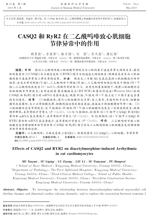 CASQ2和RyR2在二乙酰吗啡致心肌细胞节律异常中的作用