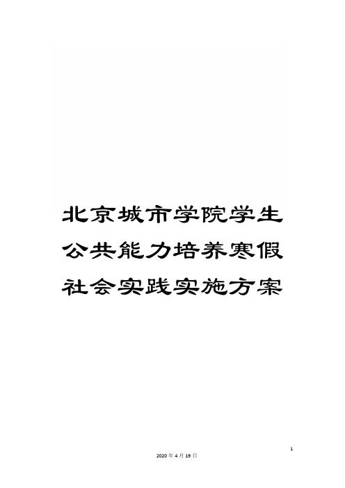 北京城市学院学生公共能力培养寒假社会实践实施方案