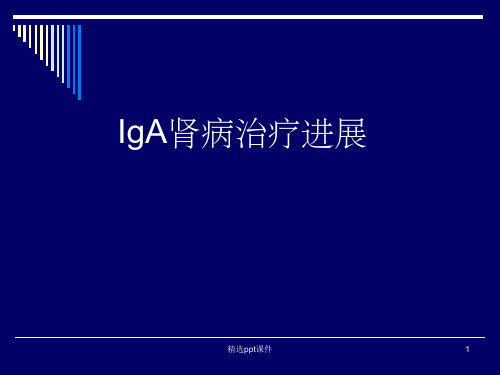 IgA肾病诊断和治疗进展