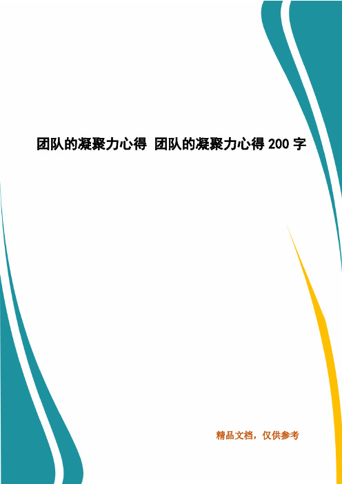 团队的凝聚力心得 团队的凝聚力心得200字