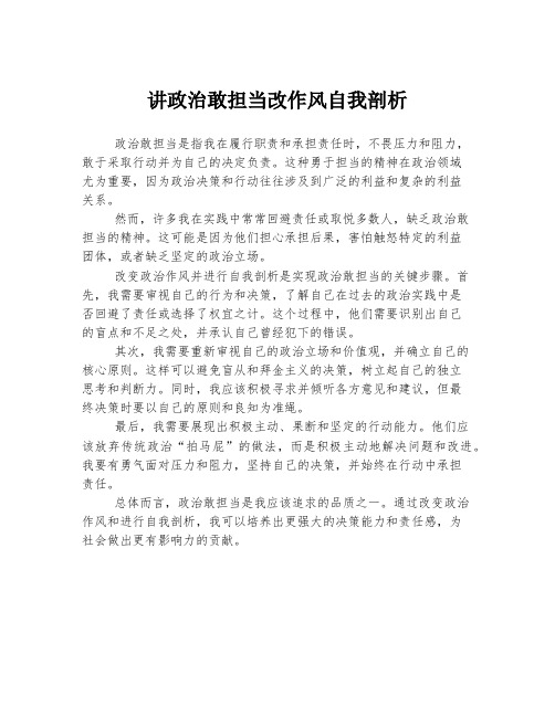 讲政治敢担当改作风自我剖析