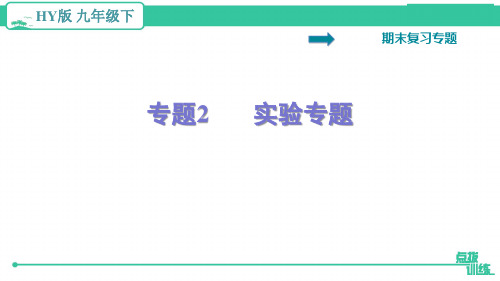 最新沪粤版九年级下册物理期末复习专题2 实验专题