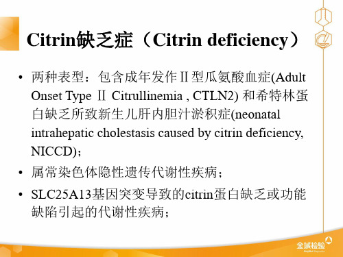 Citrin缺乏症-精品医学课件