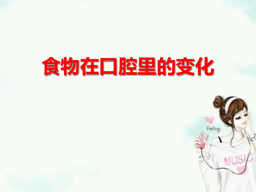 《食物在口腔里的变化》我们的身体课件PPT