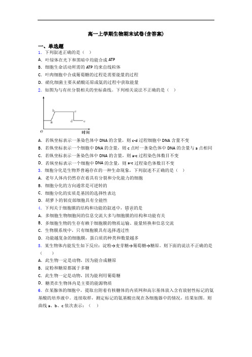 高一上学期生物期末试卷(含答案)