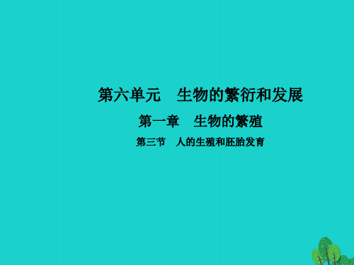 天全县二中八年级生物下册第六单元第一章第三节人的生殖和胚胎发育课件新版冀教版