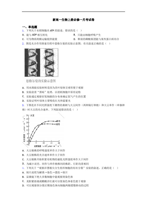 新高一生物上册必修一月考试卷