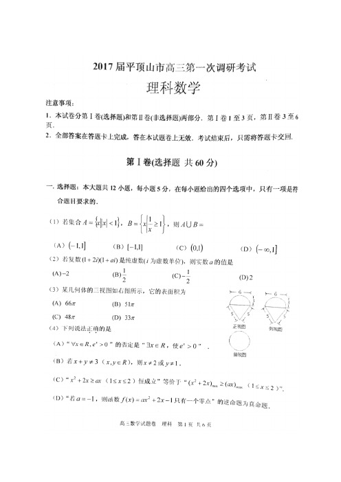 河南省平顶山市2017届高三第一次调研考试(图片)——数